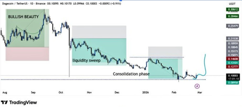 DOGEUSD 1D 圖表 | 來源:X