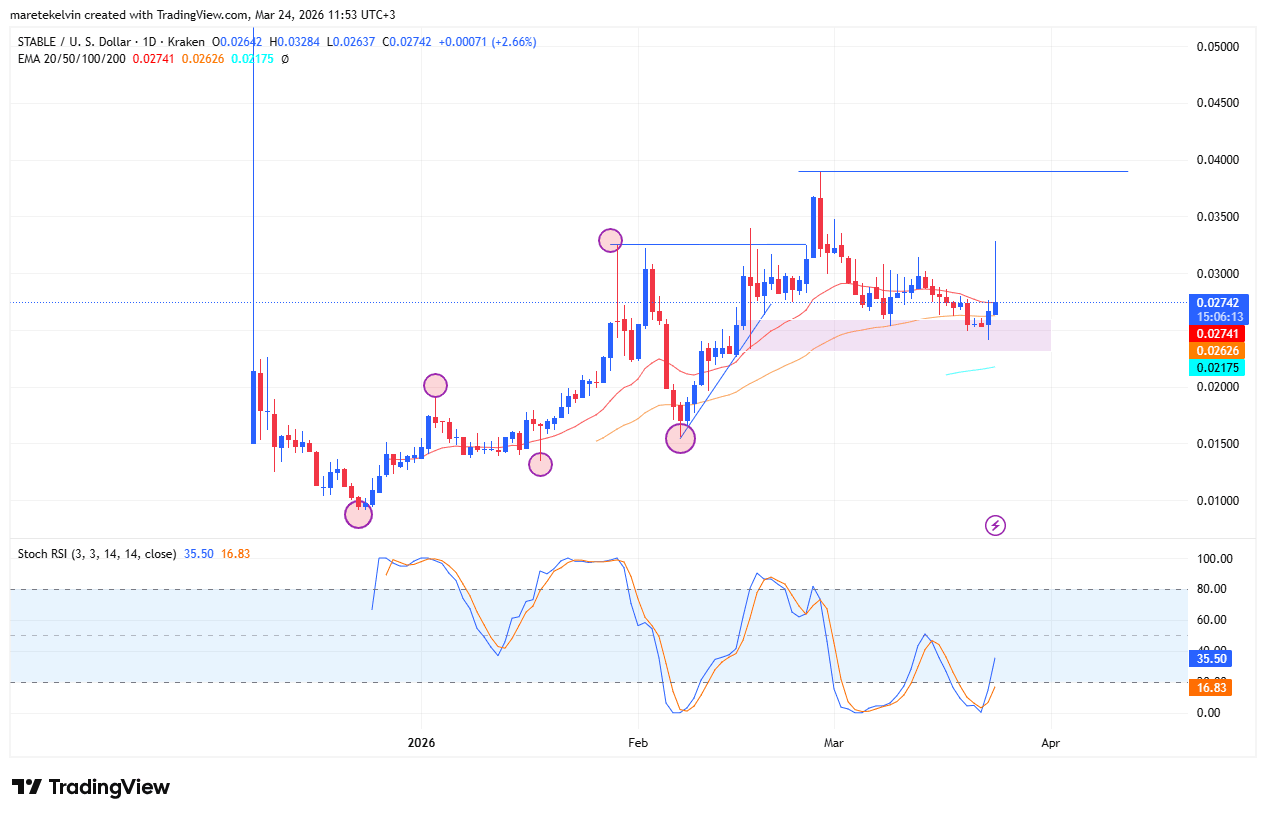 穩定測試 $0.025 支撐位，同時持倉者數量持續上升