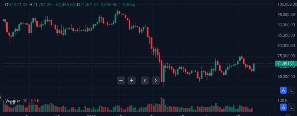 比特幣價格與 MicroStrategy 的押注 | 資料來源:TradingView