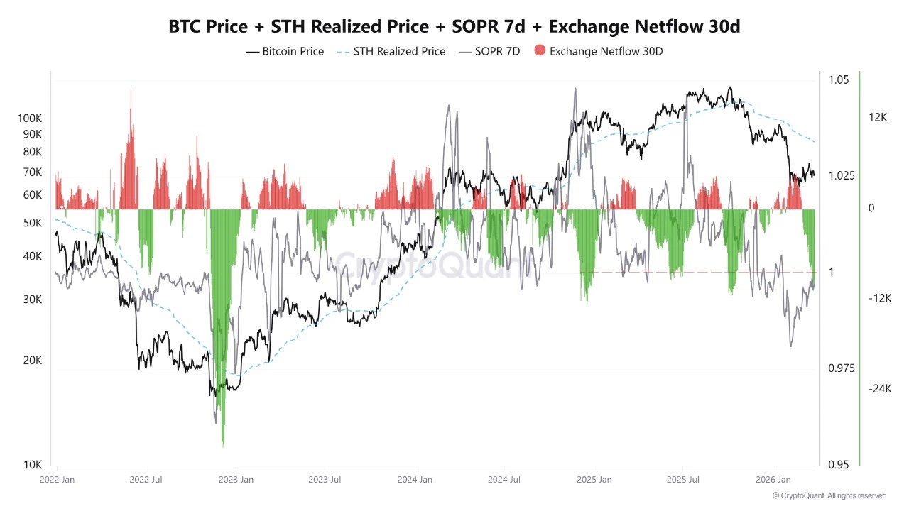 比特幣價格在賣壓減輕下持穩於 STH 實現價格之上