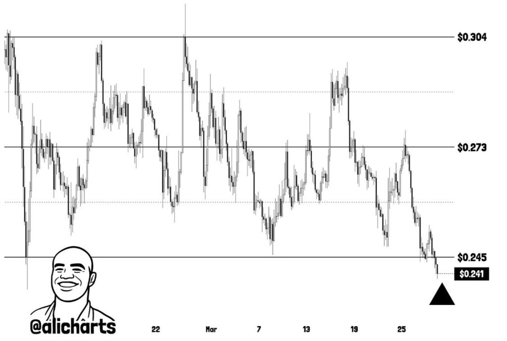 艾達幣價格突破關鍵水平，分析師警告將下跌 11%