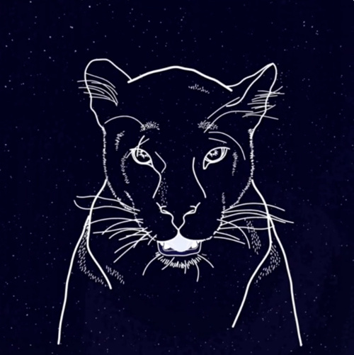 「自上而下」or「自下而上」,NFT用哪种方式讲故事更好?