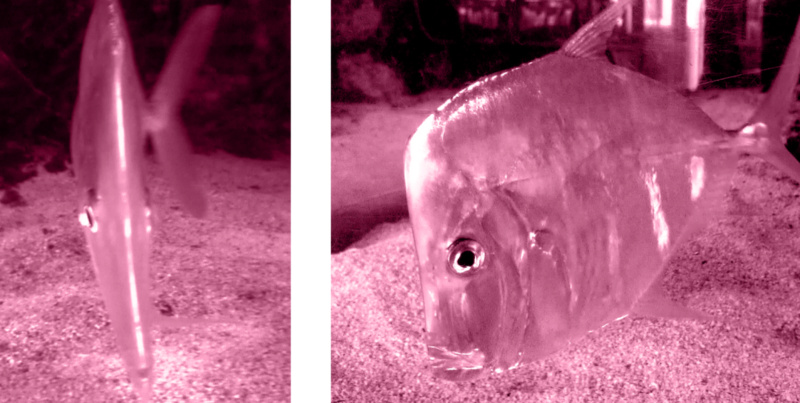 万字详谈Uniswap治理状态:最小化悖论