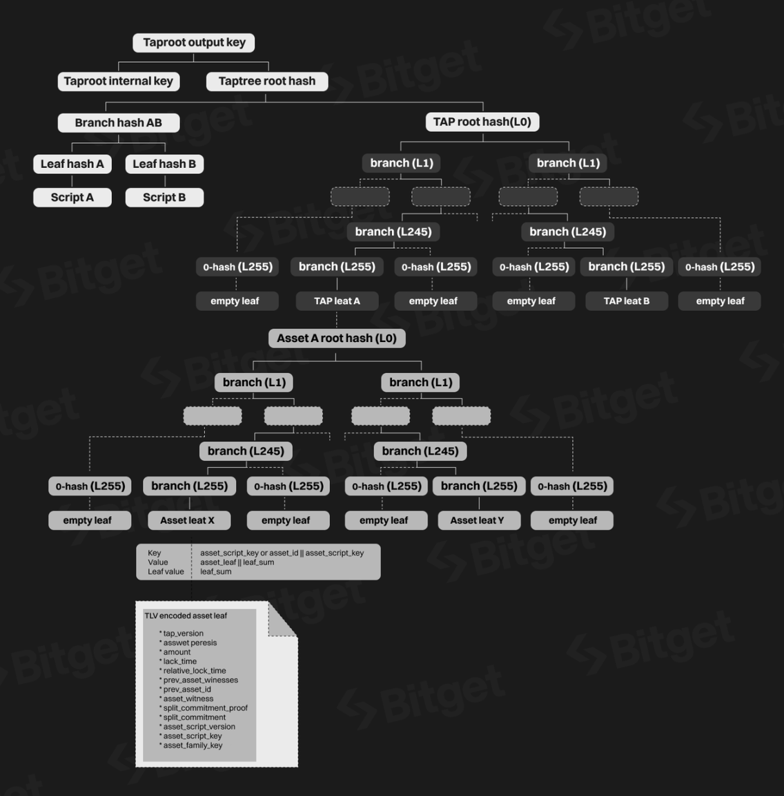 Bitget研究院：深度解析比特币生态，下轮牛市的发动机