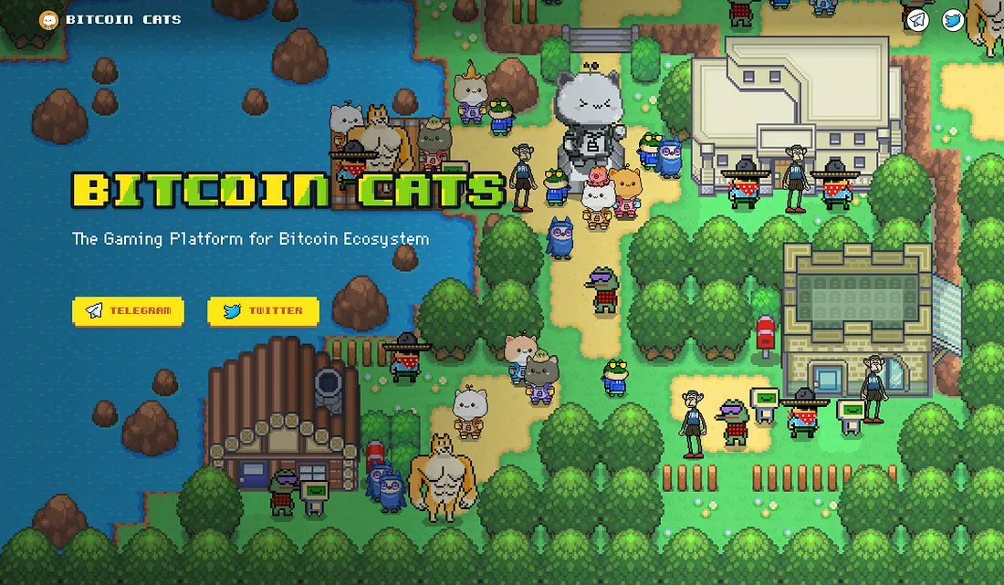 详解铭文IDO平台运作机制与参与方式