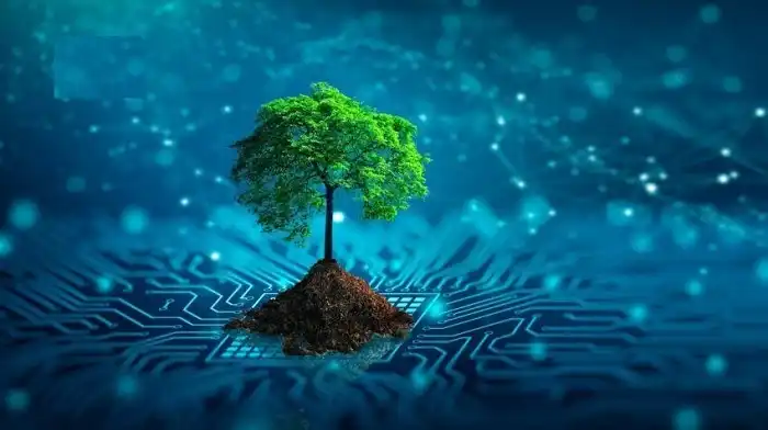 加密项目是否采用DAO模式，首先考量这8个因素