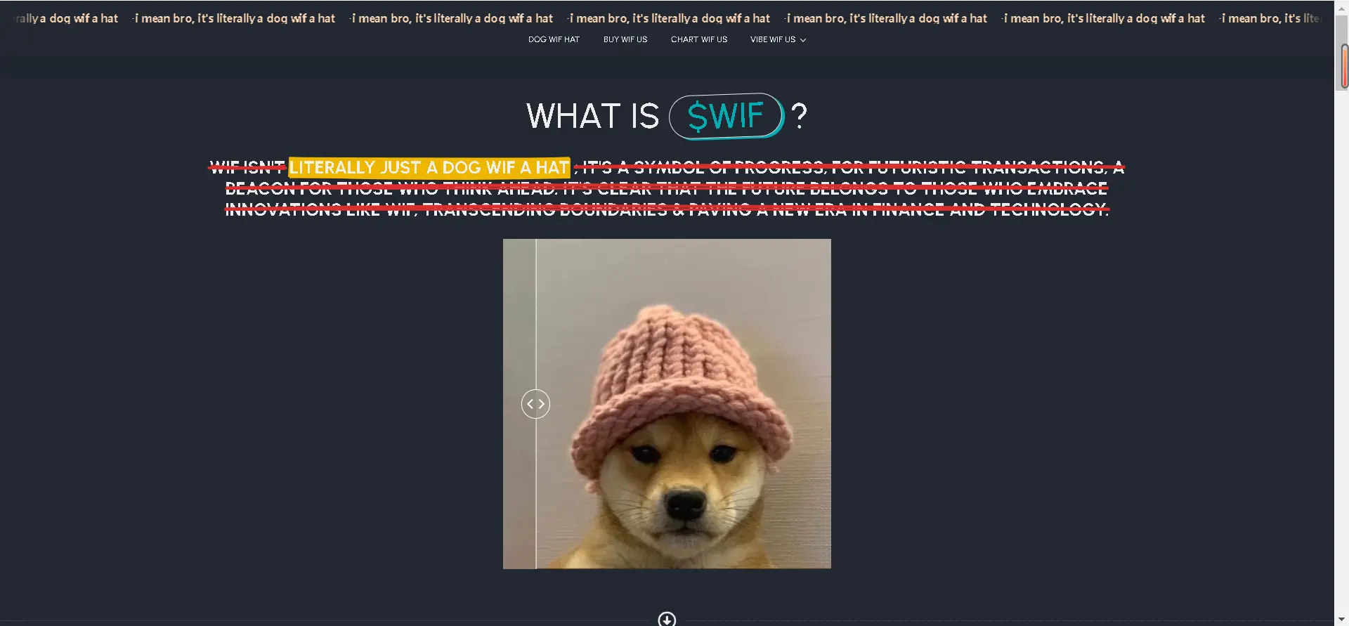 复盘 WIF：Solana上又一个万倍币，"帽子狗"的致富经为何？