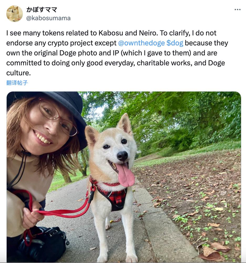 DOGE原型主人新宠“Neiro”爆火:多个同名MEME获数亿资金参与,未经授权遭“抗议”