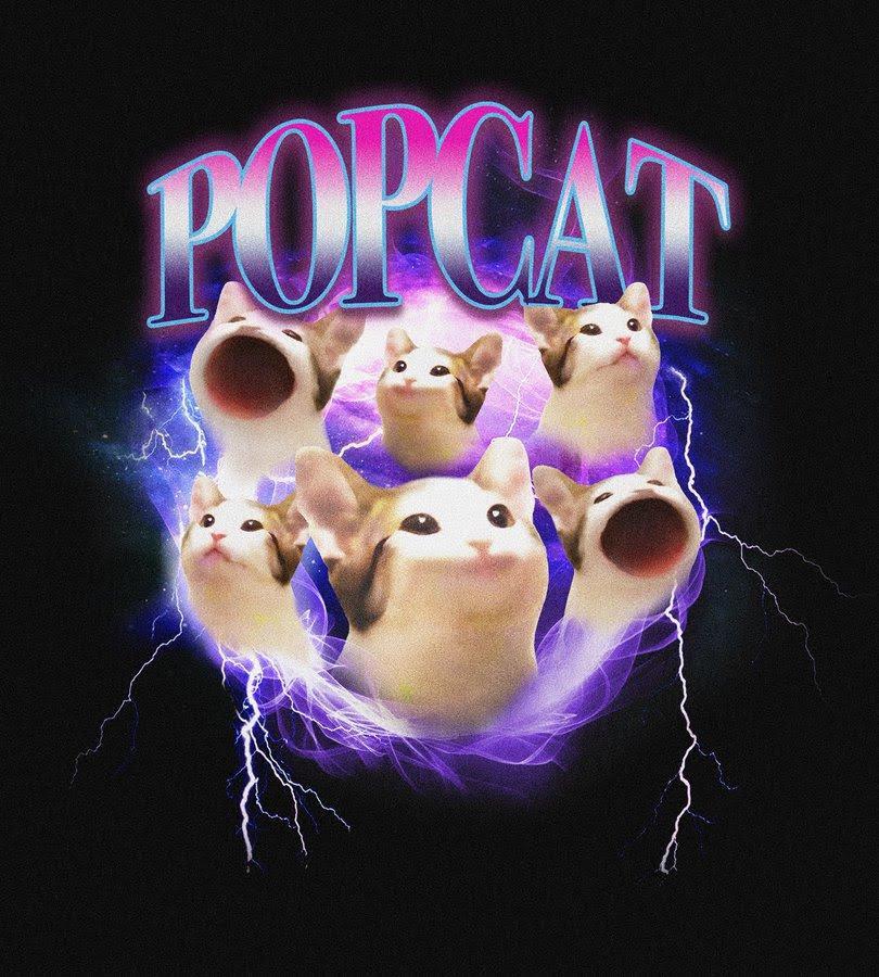 “猫猫Meme大作战”，谁会是第一个跑出来的猫币？