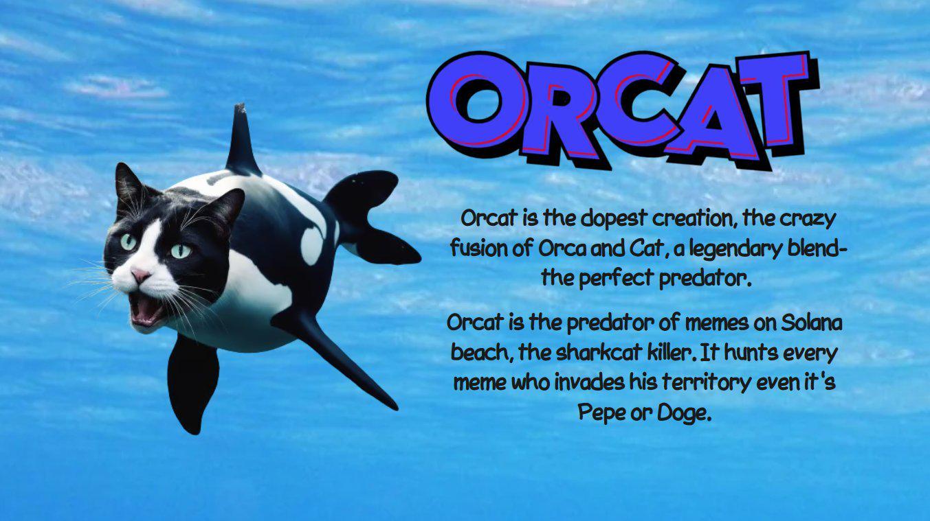 “猫猫Meme大作战”，谁会是第一个跑出来的猫币？