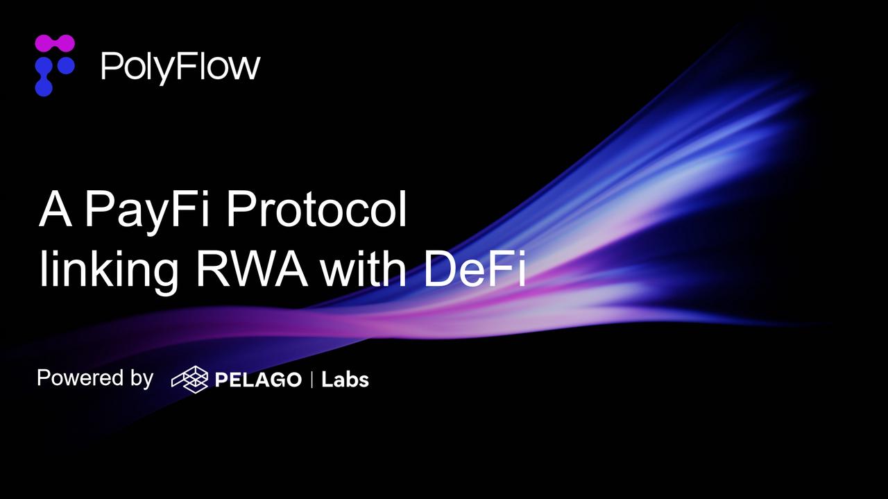 专访PolyFlow联创:如何打造PayFi基础设施?