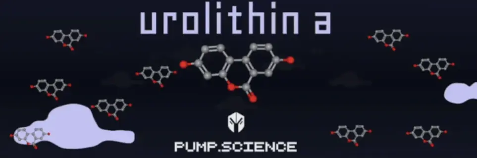 WOO X Research:近期爆红的 DeSci 是什么?能带来什么实际应用吗?