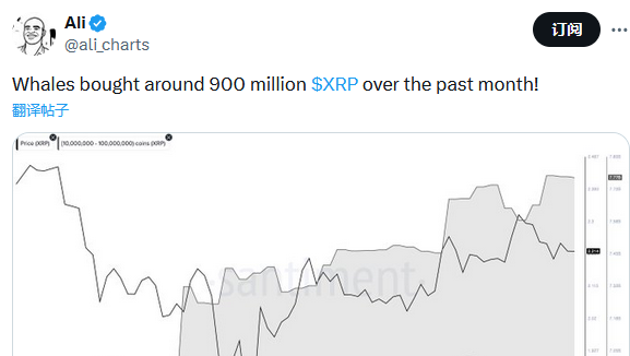 數據：鯨魚過去1個月已買進超9億枚XRP