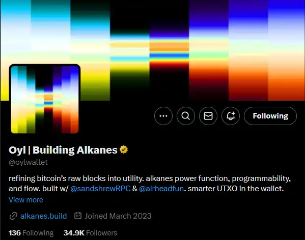 首个代币涨超10倍，比特币生态新资产协议Alkanes是什么？