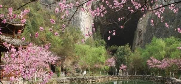 
                        《新笑傲江湖》游云奇遇任务攻略大全（一步步完成任务，畅游江湖）                    