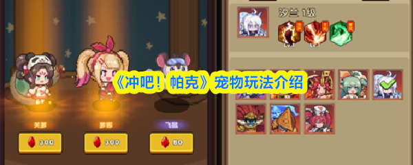 《冲吧！帕克》宠物玩法介绍