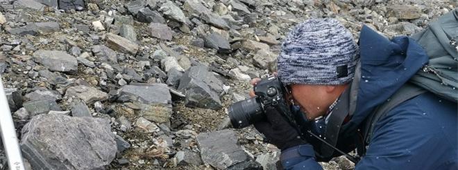 
                        《烟雨江湖》药材采集地图大揭秘！（寻找雪兔子的采集位置，拯救你的药箱！）                    