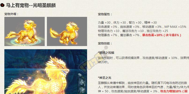 
                        《梦华谭》中太公望卡牌搭配图鉴介绍（打造最强神系阵容）                    