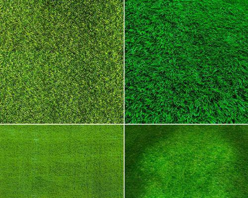 
                        人工学院攻略绿色之道（助你实现环保与可持续发展的关键）                    