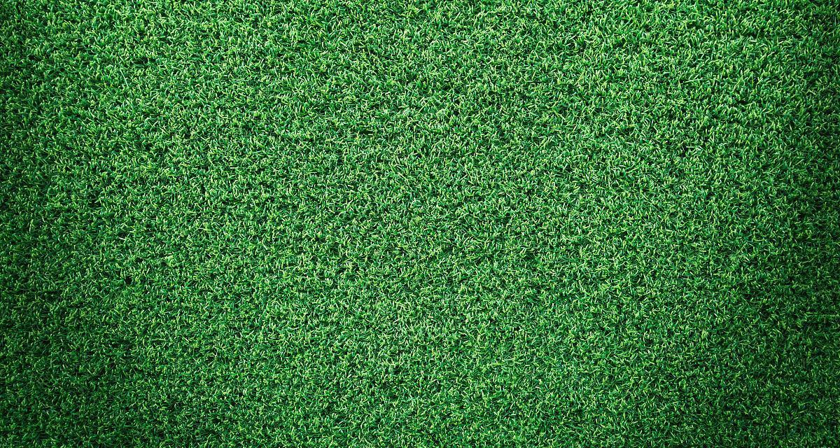 
                        人工学院攻略（引领绿色科技潮流，改变世界的创新动力）                    