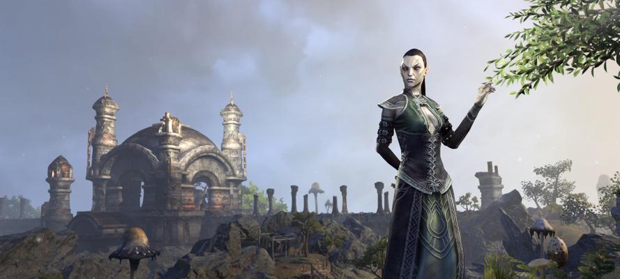 
                        探索寒霜雕文的制作技巧（揭秘以上古卷轴OL中寒霜雕文的独特魅力与制作方法）                    