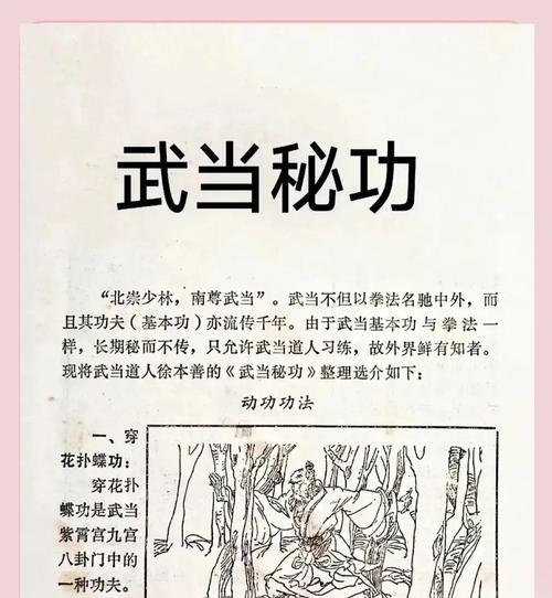 
                        大侠立志传神捕门武功（一代大侠的传奇故事与武功绝艳）                    