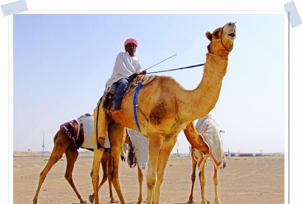 
                        沙漠飞舟出装攻略大揭秘！（沙漠飞舟出装攻略全新解析，带你走向胜利！）                    