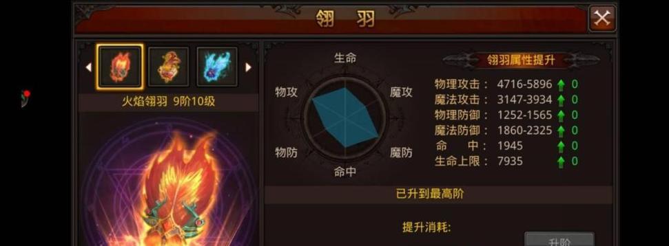 
                        《全民奇迹普通副本攻略》（打造最强战队，征战无限世界）                    