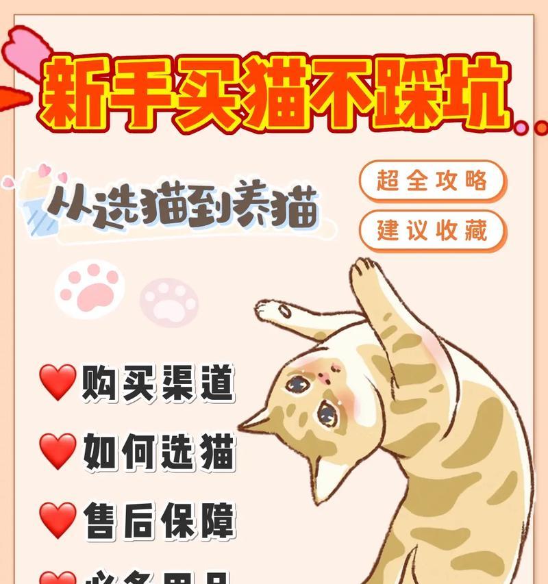 
                        星垂攻略（揭秘养攻千日星垂攻略，让你成为绝世高手！）                    