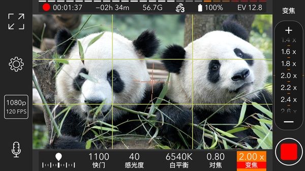 ProMovie苹果版手机赚钱软件截图3