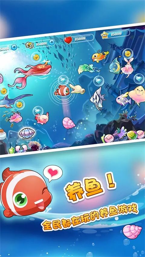 开心水族箱官方正版手机赚钱软件截图5