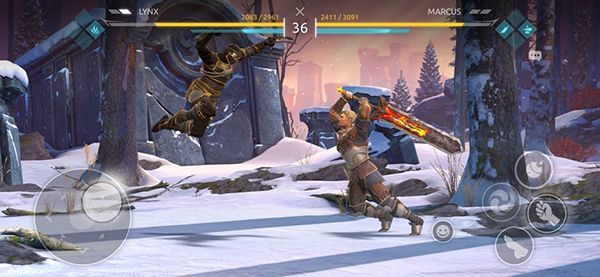 暗影格斗ios版(Shadow Fight Arena)手机赚钱软件截图5