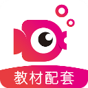 鲤鱼辅导ios版手机赚钱软件