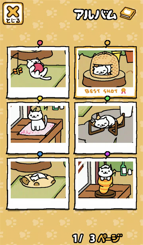 猫咪后院官方版手机赚钱软件截图2