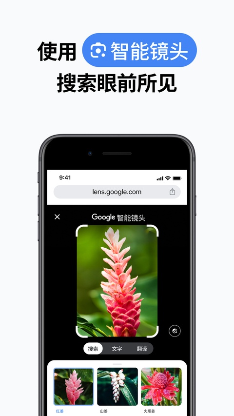 谷歌浏览器ipad版手机赚钱软件截图2