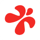 彩视app手机赚钱软件