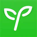 沪江网校ipad版手机赚钱软件