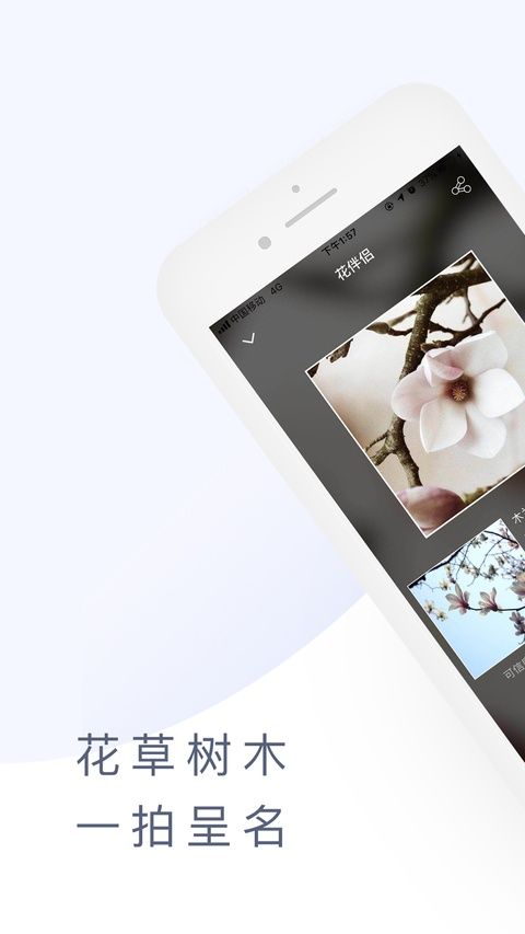 花伴侣ios版手机赚钱软件截图1