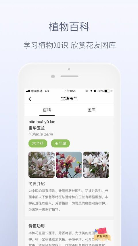花伴侣ios版手机赚钱软件截图4