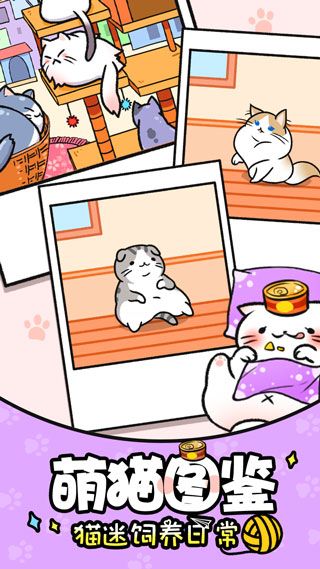 猫咪公寓手游手机赚钱软件截图1