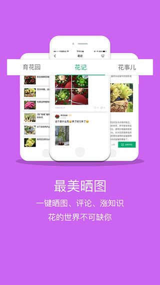 花帮主ios版手机赚钱软件截图3