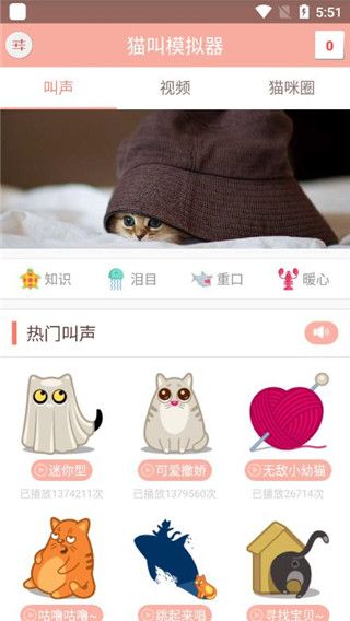 猫叫模拟器ios版手机赚钱软件截图1