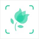形色苹果版手机赚钱软件