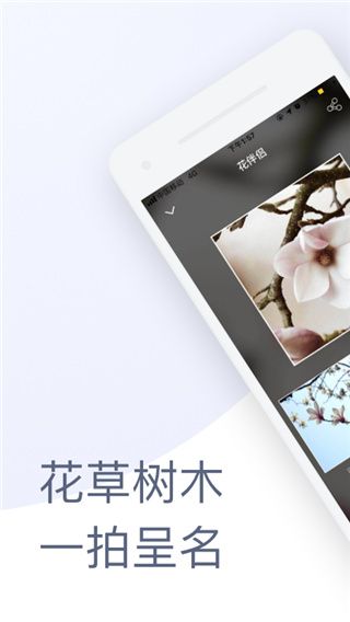 花伴侣app官方版手机赚钱软件截图1