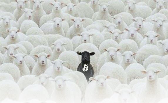 链上数据拆解:BTC从8万下跌,未平仓合约创年内新高,三组指标解读当前市场结构