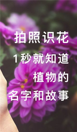 形色苹果版手机赚钱软件截图2