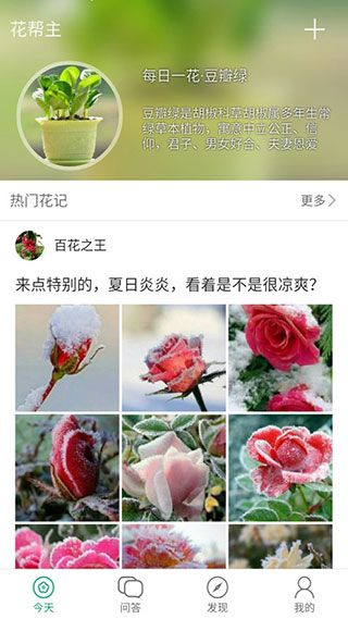 花帮主ios版手机赚钱软件截图5