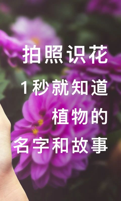 形色app手机赚钱软件截图5