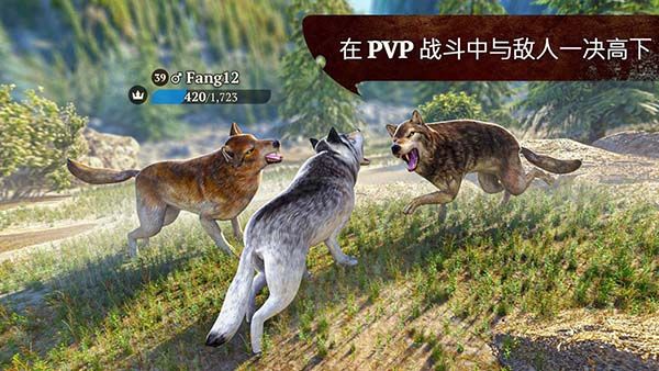 狼族手游官方版手机赚钱软件截图2
