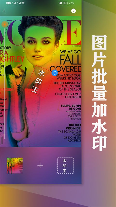 水印王App手机赚钱软件截图4